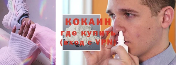 шишки Ладушкин