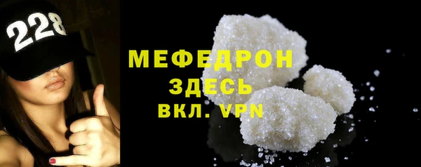 индика Нягань