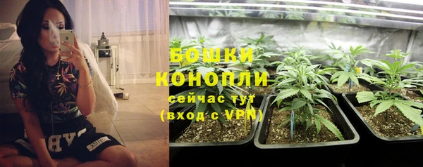 шишки Ладушкин