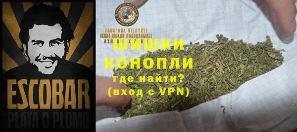 молекула духа Лабытнанги