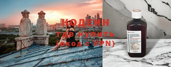 шишки Ладушкин