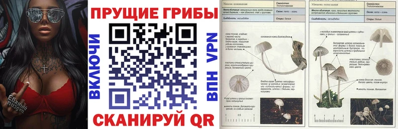 Псилоцибиновые грибы ЛСД  Октябрьский 