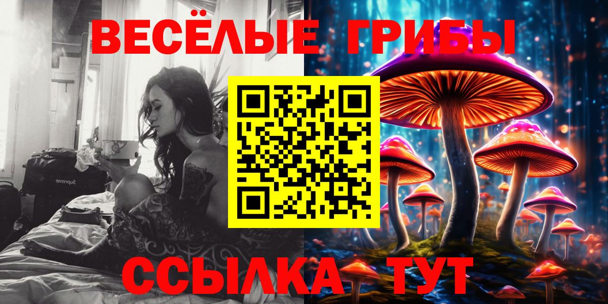 Псилоцибиновые грибы MAGIC MUSHROOMS  Псилоцибиновые грибы Cubensis  Октябрьский 