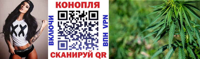 Конопля гибрид  Октябрьский 